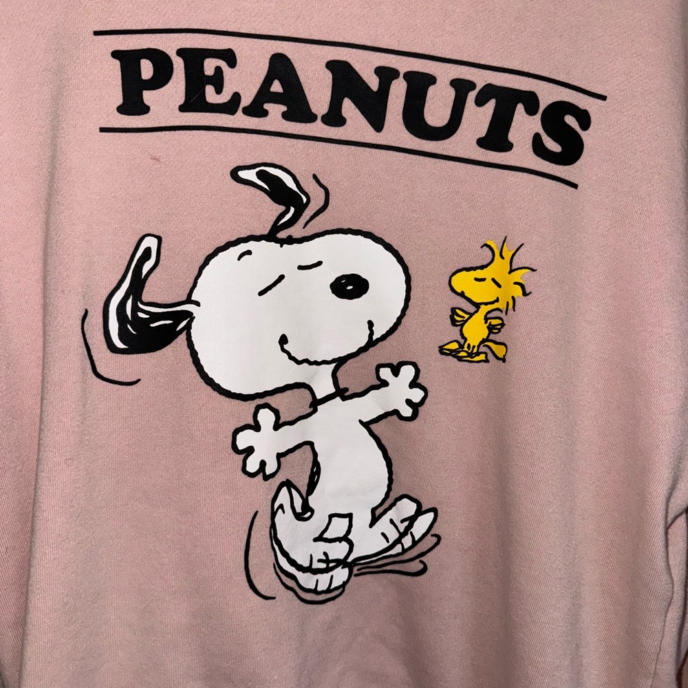 Peanuts Pink Snoopy and Woodstock Hoodie: Women's Size Medium - Picture 2 of 9